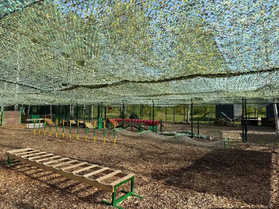 что значит питомник профессиональный