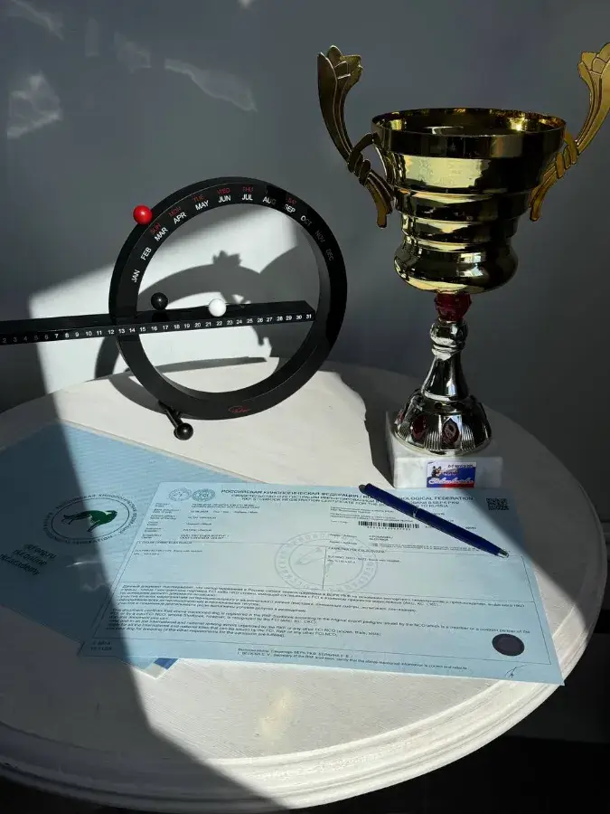 КМетрика щенка как выглядит и как оформить родословную