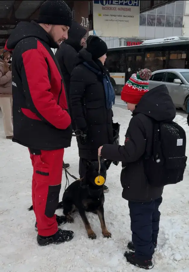 Как немецкая овчарка относится к детям