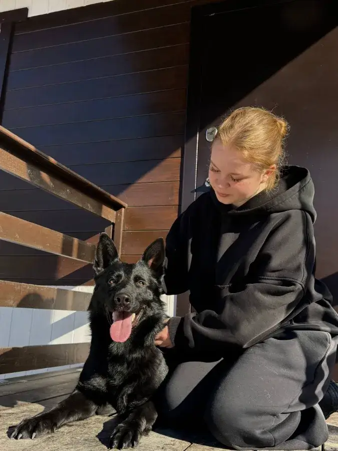 Выбор места для собаки и подготовка к дрессировке