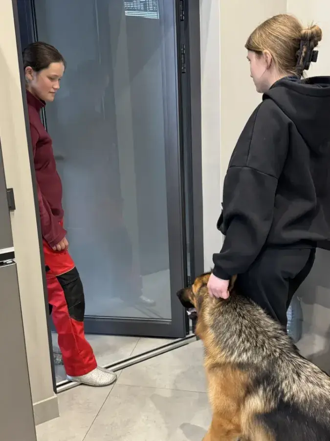 Ранняя и грамотная социализация