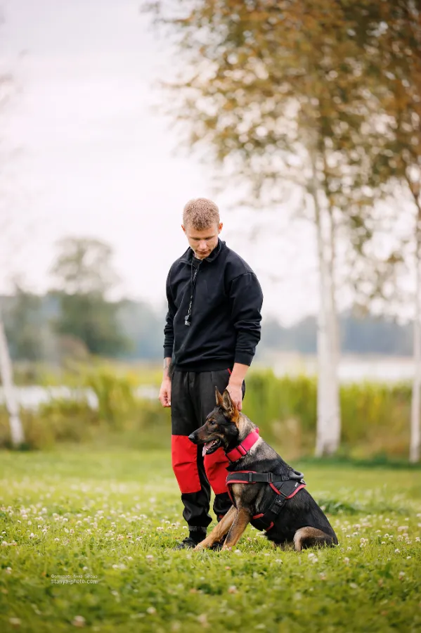 Как научить собаку не тянуть поводок и спокойно встречать гостей