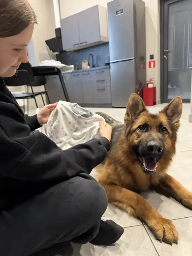 как собаки реагируют на запахи новорожденных детей