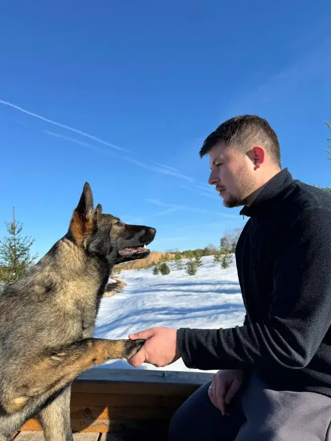 Обучение трюку уборка игрушек и доставка тапочек