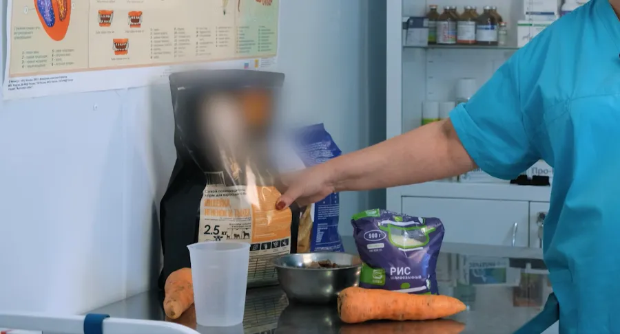 корм для овчарок немецких какой лучше