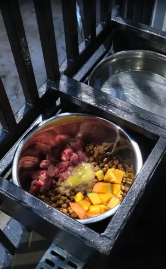 Натуральный рацион для овчарки