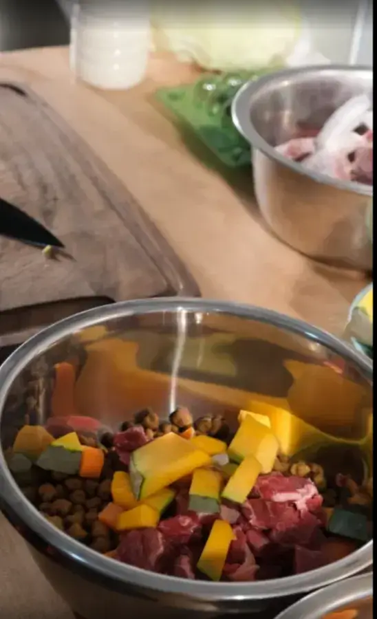 Кормление овчарки натуральным кормом