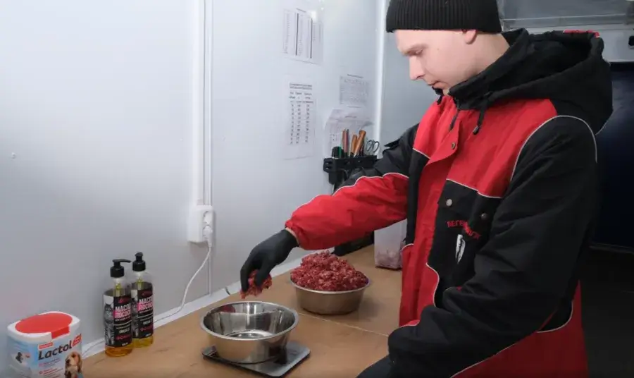 Натуральное кормление щенка немецкой овчарки