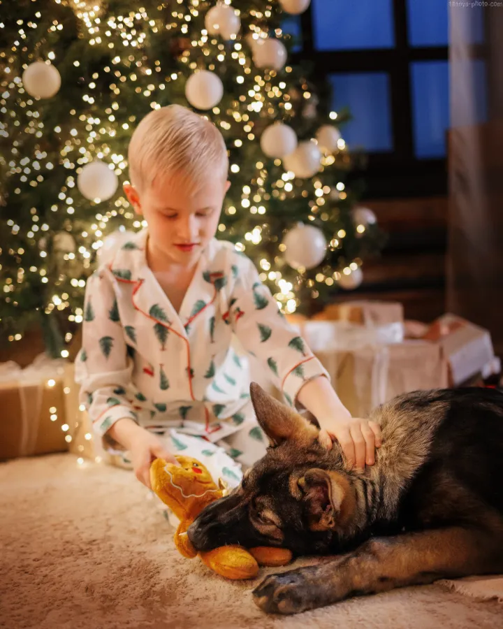 Щенок в новом доме первый день адаптация