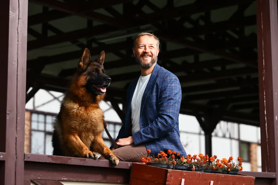 Позы собаки что означают - язык тела овчарки