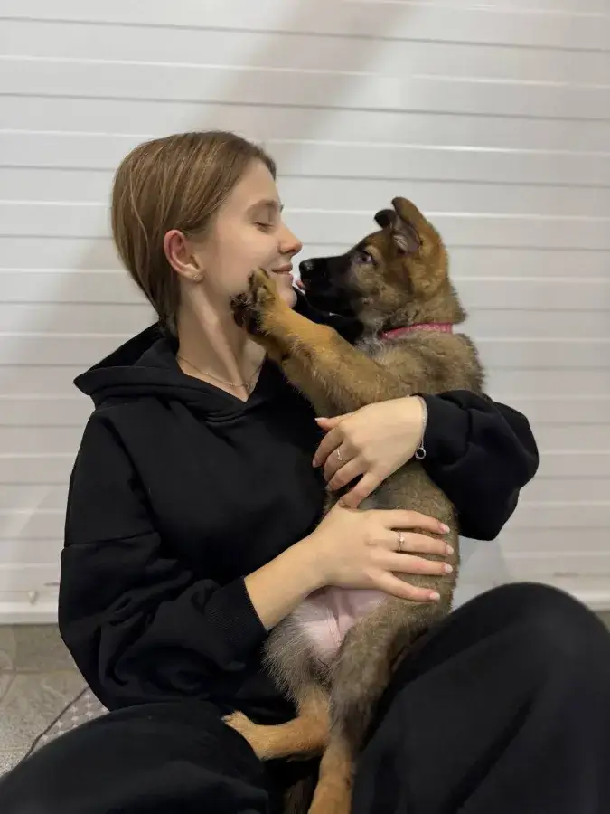 Воспитание и дрессировка овчарки в два месяца