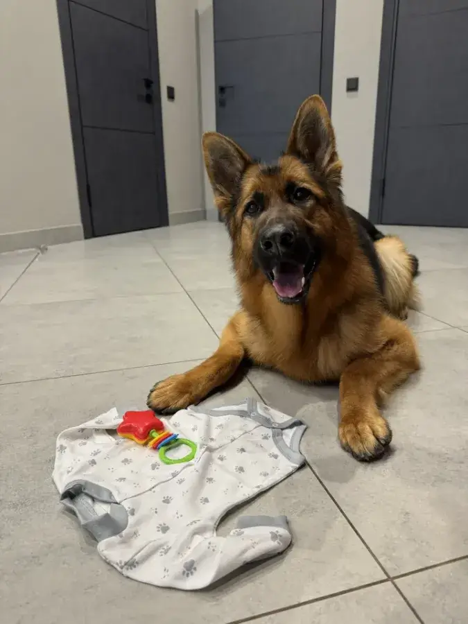 как понять что собака принимает новорожденного ребенка спокойное поведение