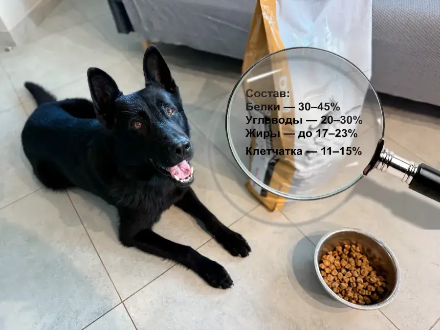 Разбор состава корма для собак анализ