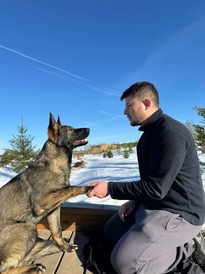 Как научить собаку трюку дай пять и ползи