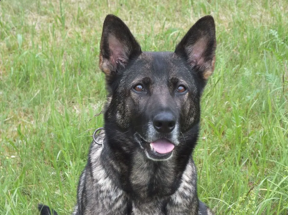 Ida von der Friesenklippe