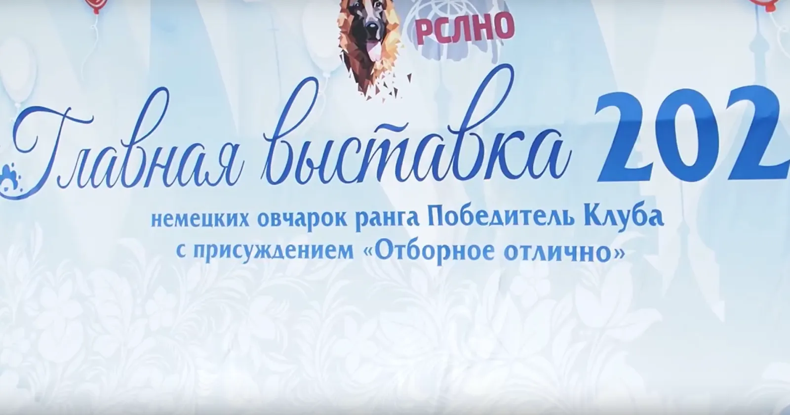 Питомник «Легенда Волги». Главная Выставка ранга «Победитель Клуба»