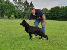 Nanni aus dem Fürstentum Lippe