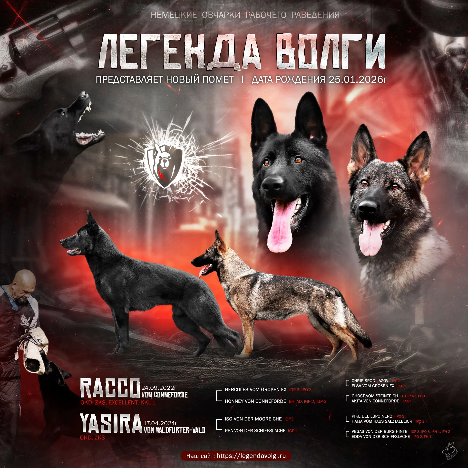 В питомнике долгожданное пополнение!