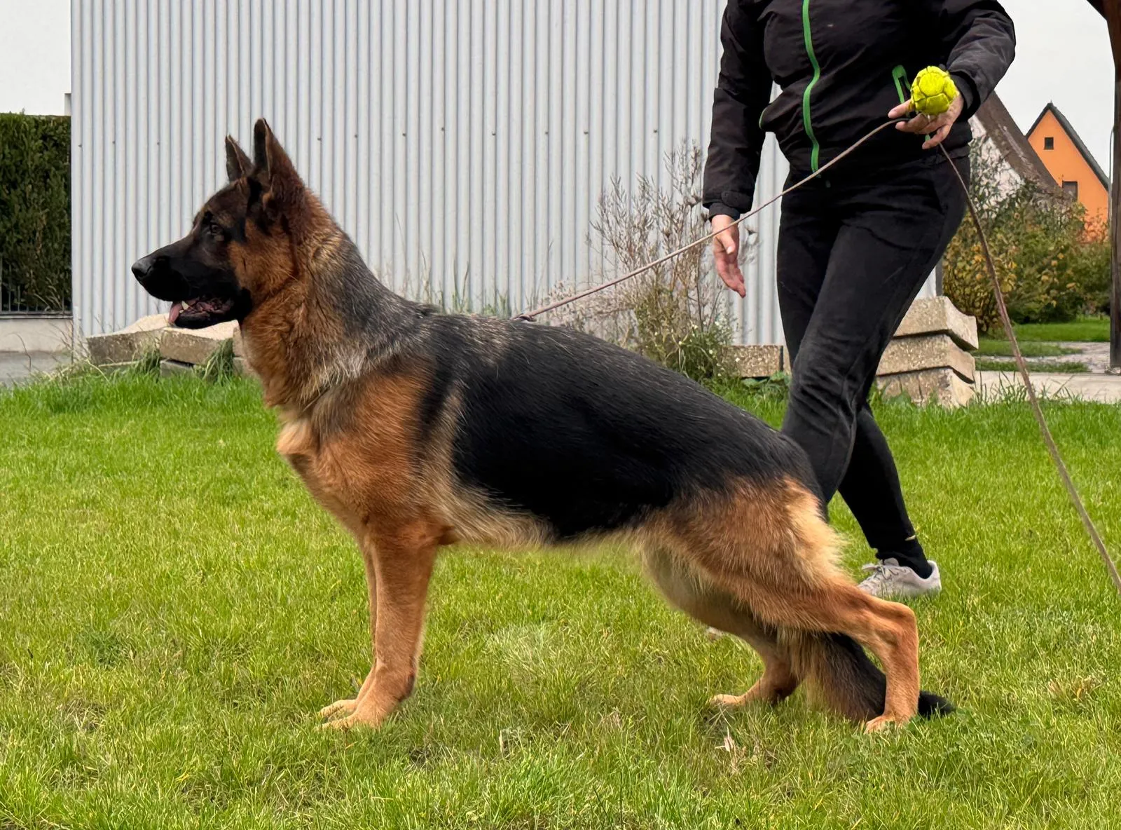 Eve von Aischtal Blick (Иви)