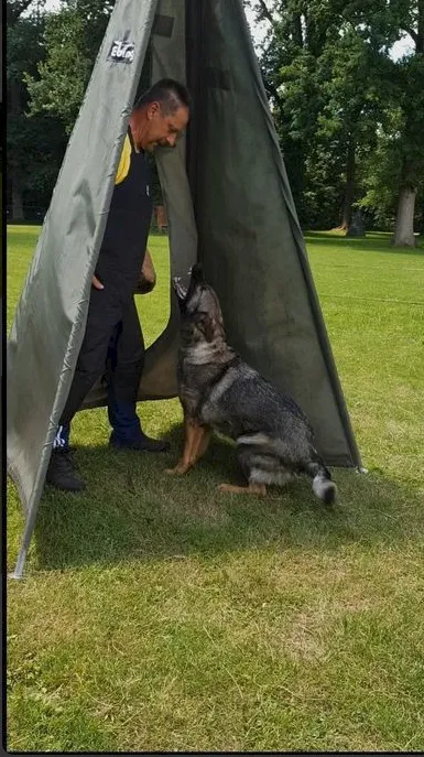 Tara von der Teufelskehle