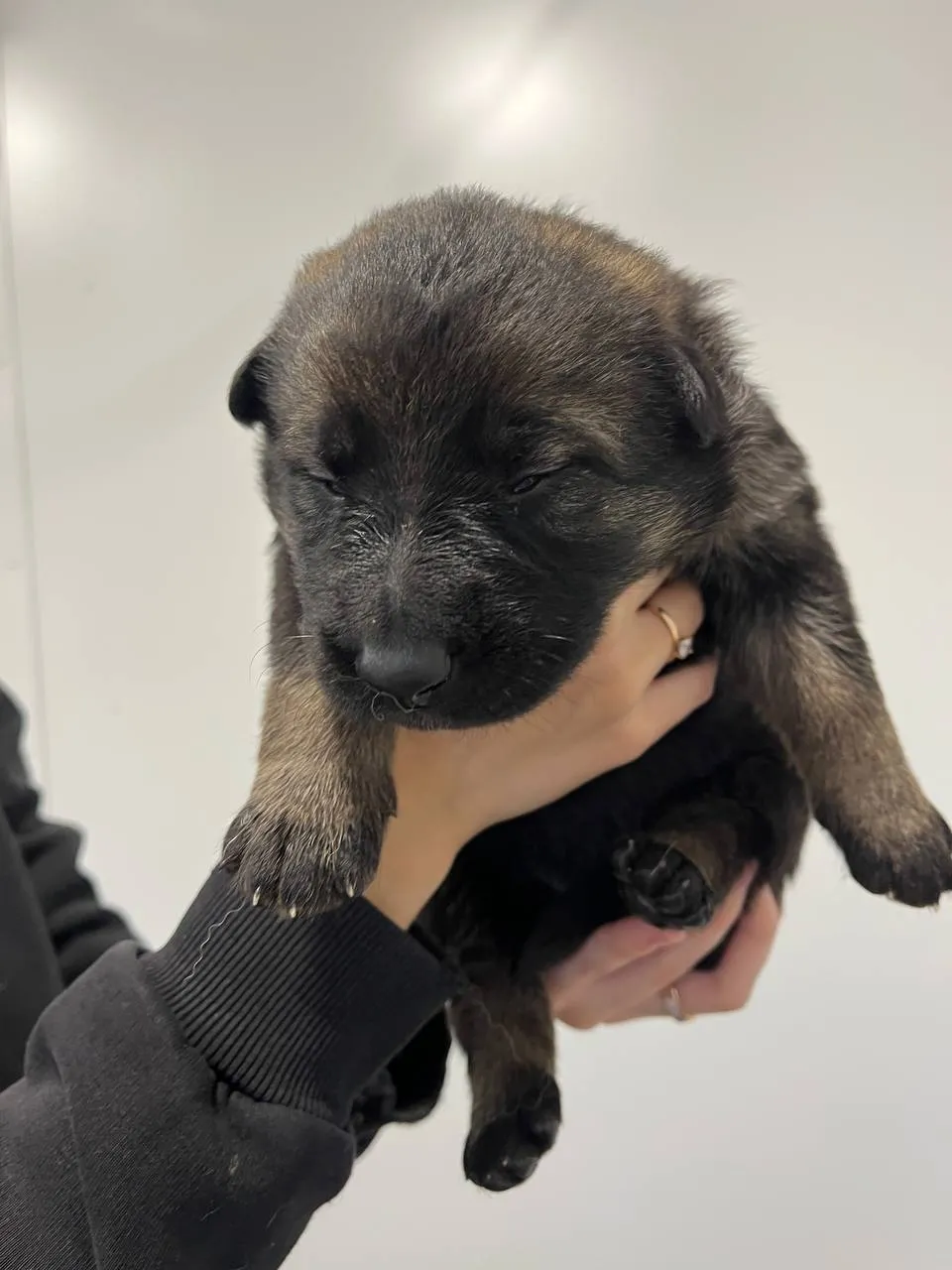 Розовая "EF-1"