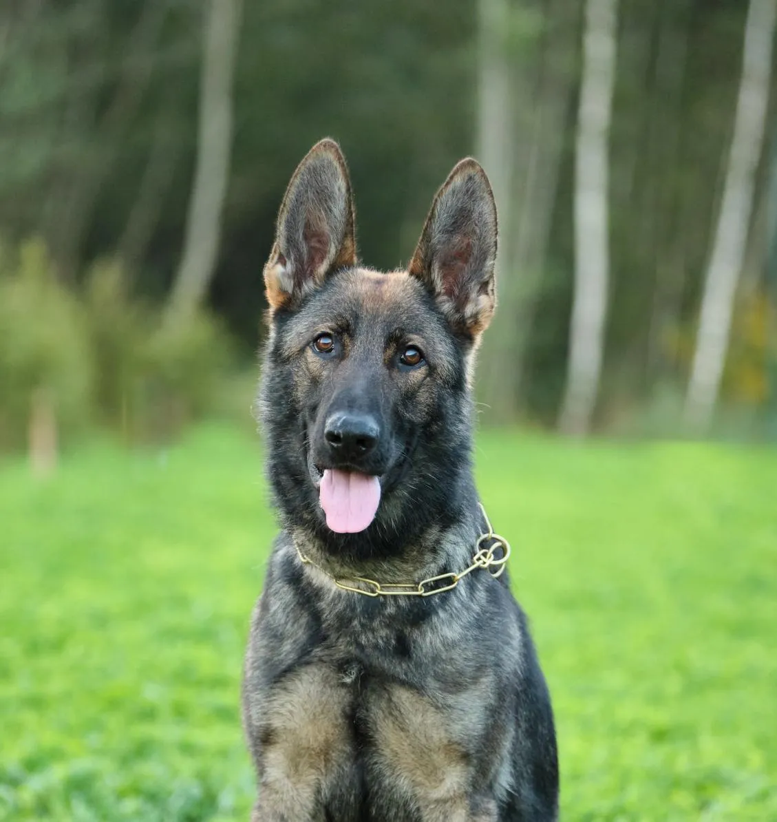 АЙСБЕРГ ЛЕГЕНДА ВОЛГИ