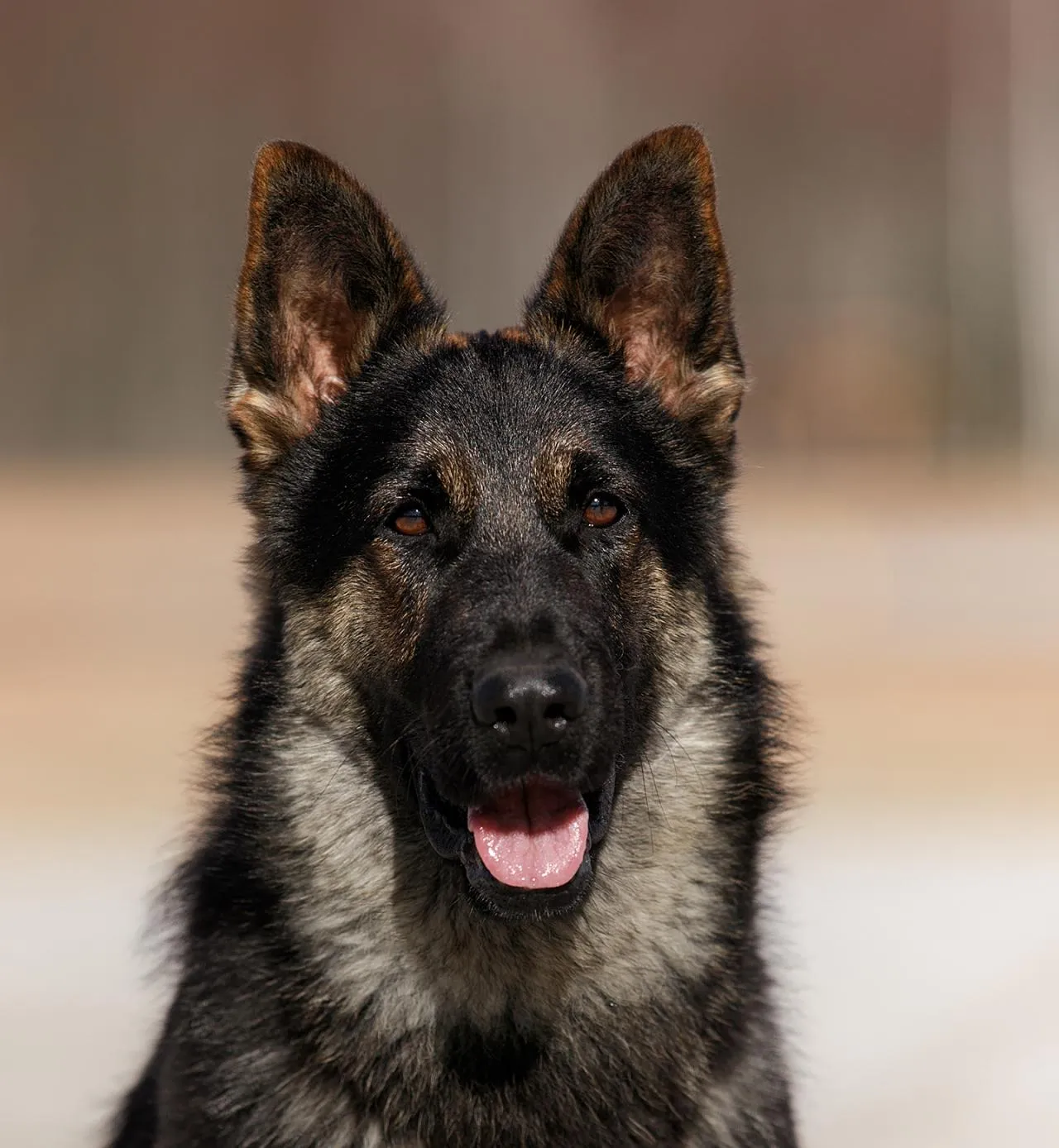 Волна Легенда Волги