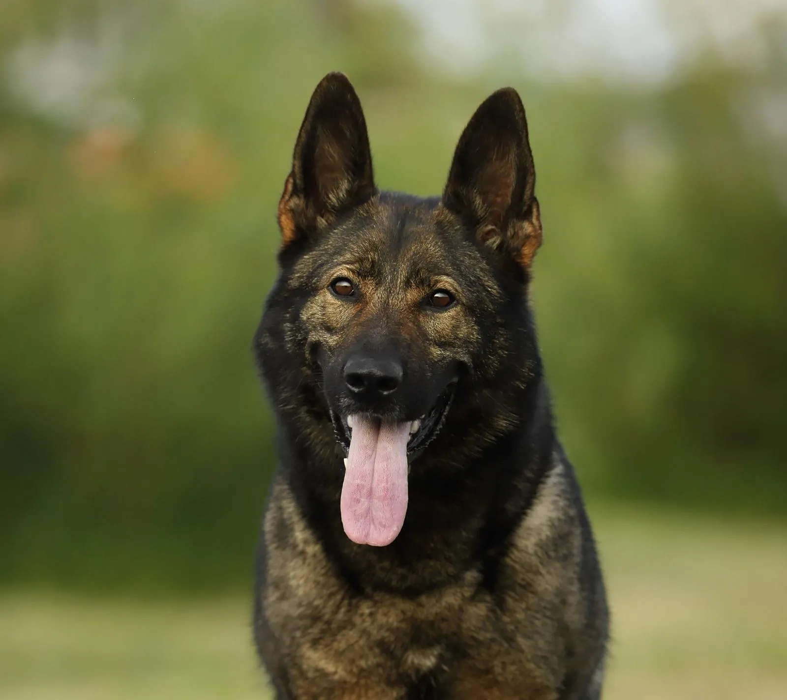 Gitta von Alaska (Гитта)