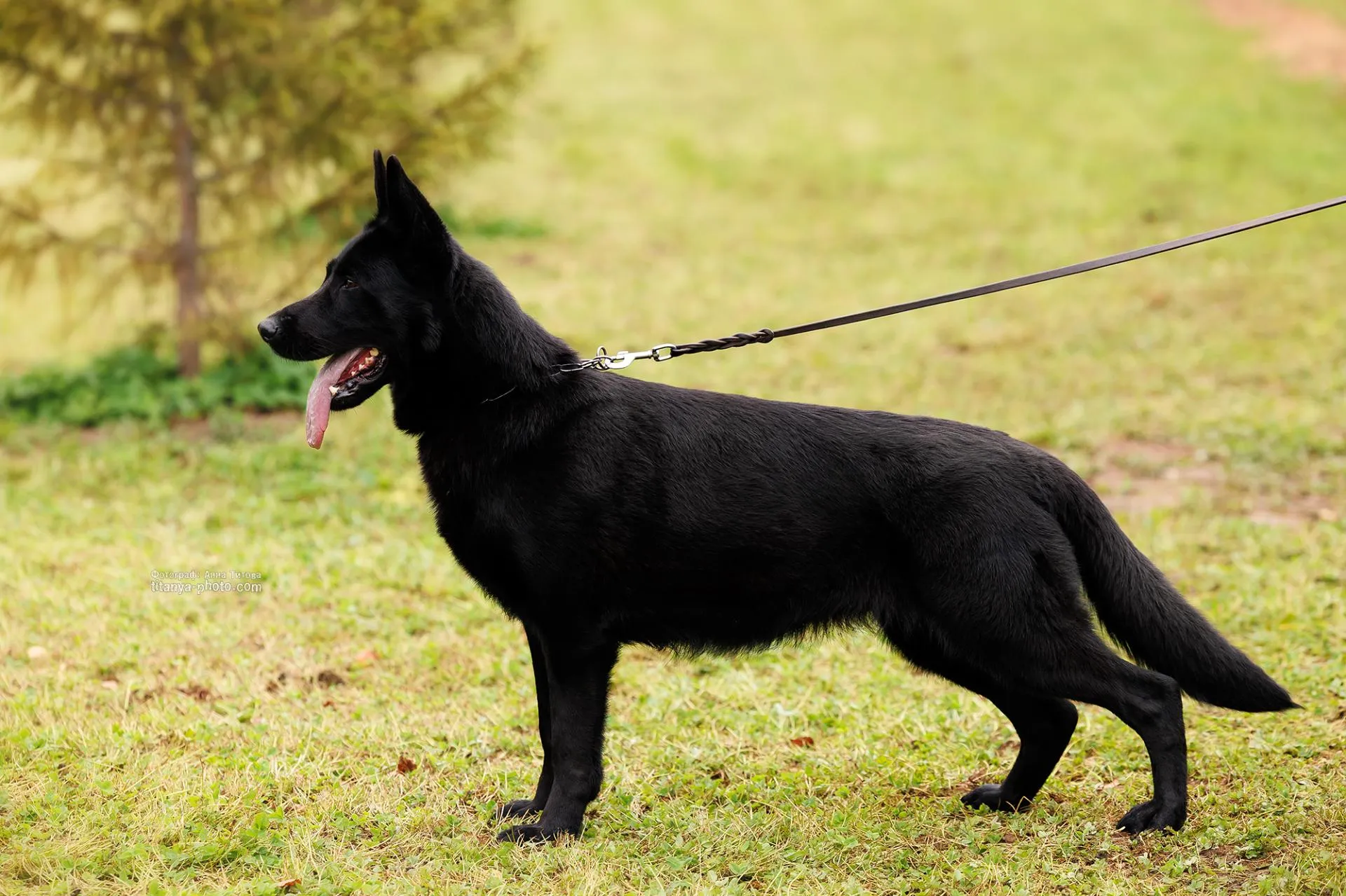 Gromada vom Haus Kogor (Громада)