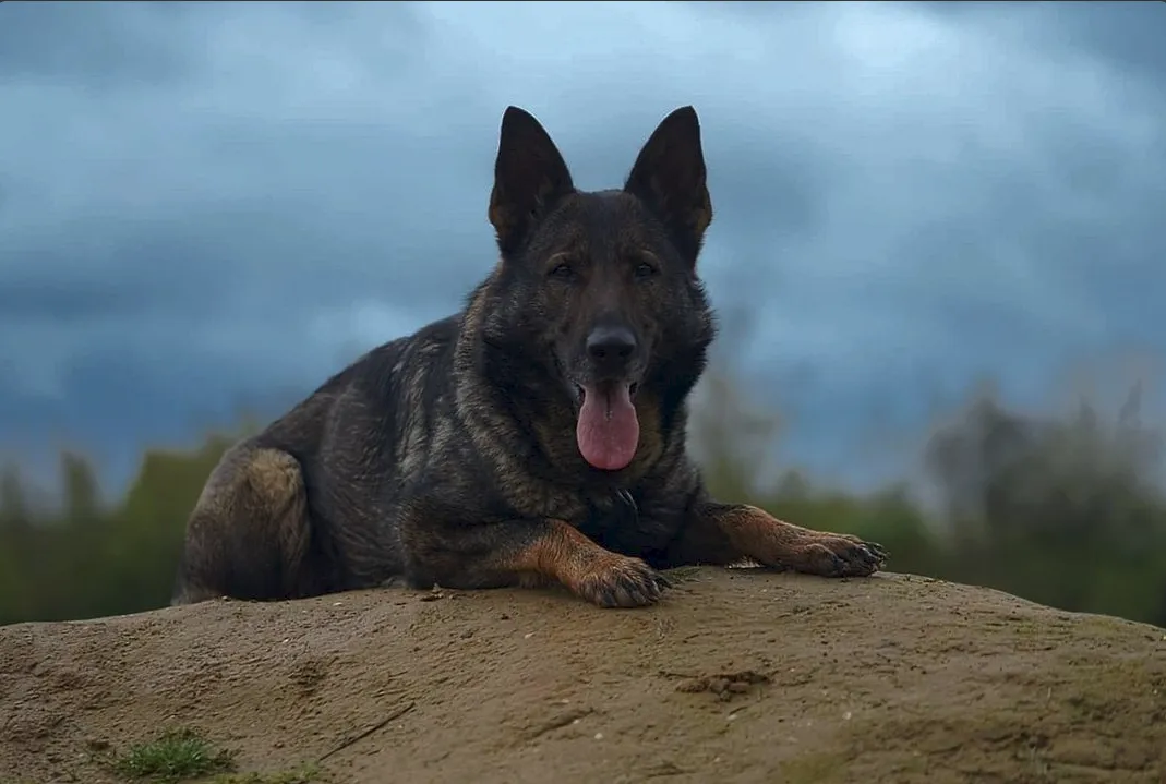 Xina vom kleinen Städtchen