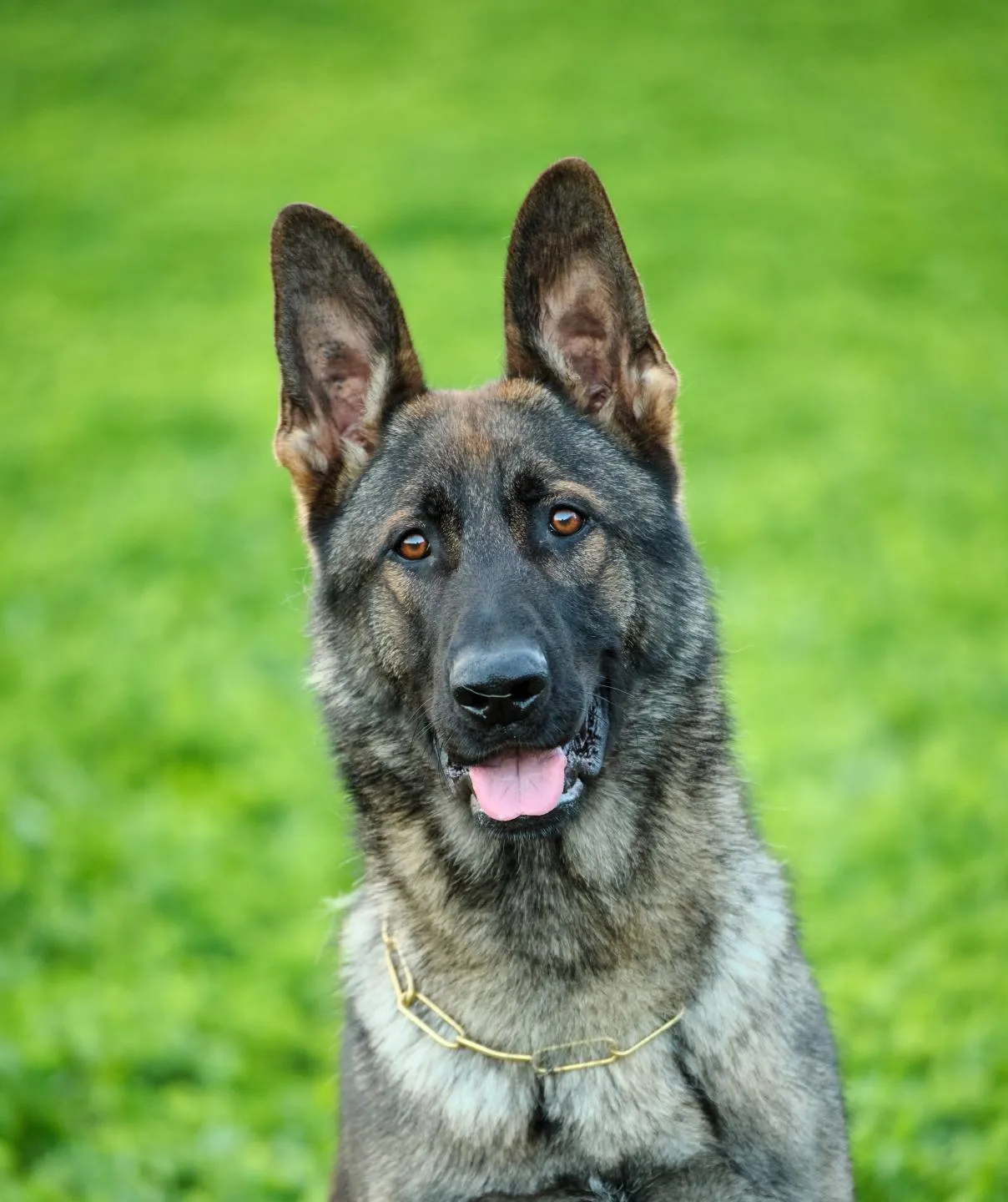 АЛМАЗ ЛЕГЕНДА ВОЛГИ