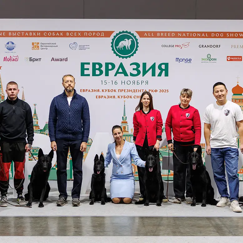 «Евразия-2025»: Наш  результат на одной из крупнейших выставок России!
