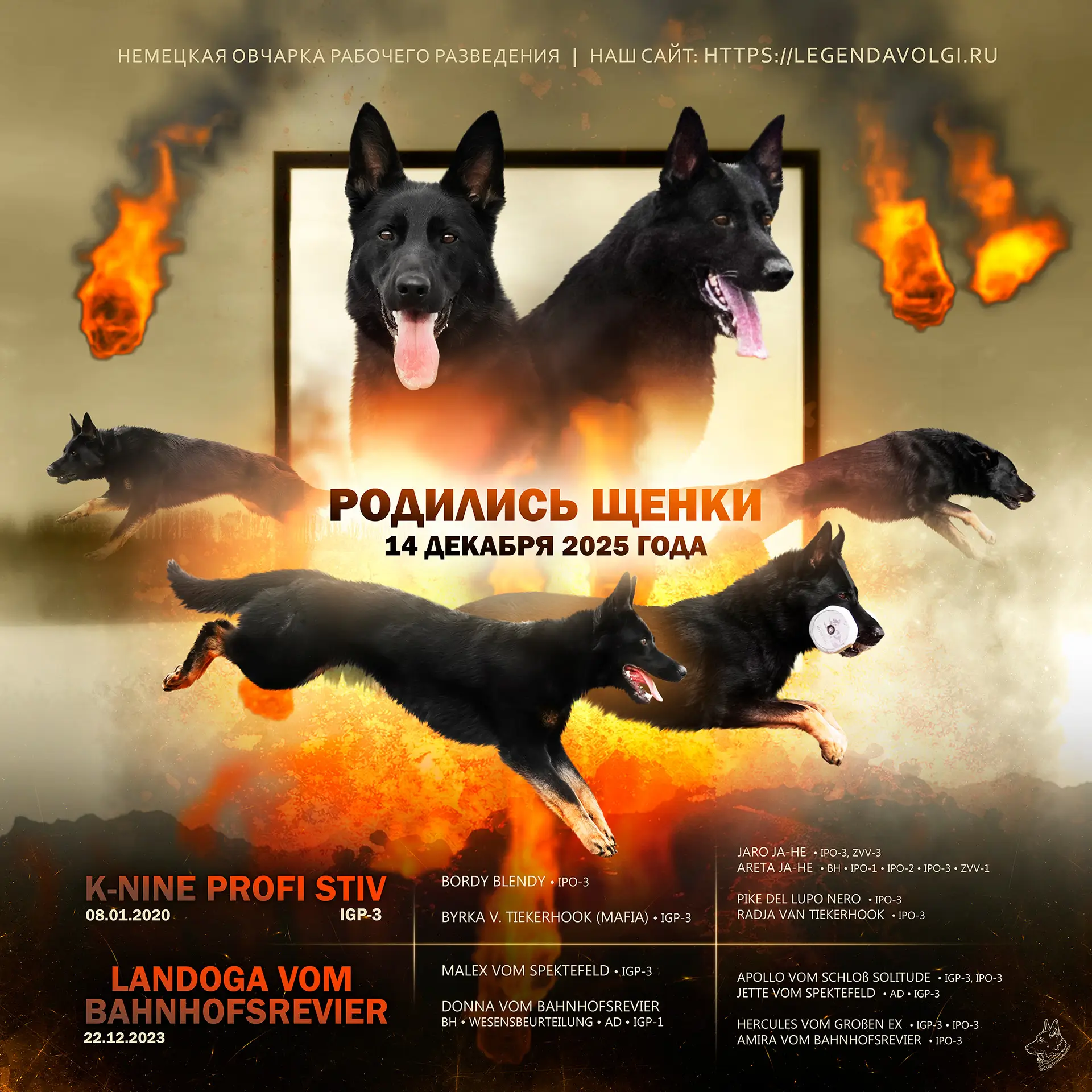 Отличная новость