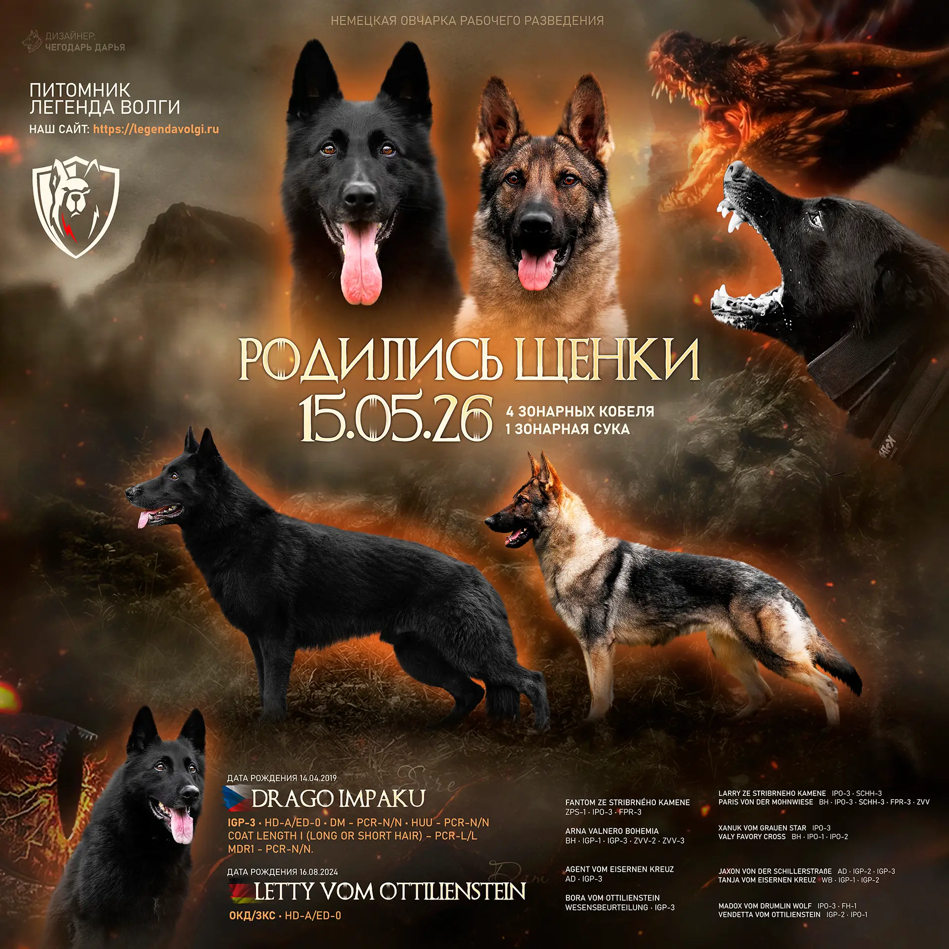 В нашем питомнике родился новый помет!