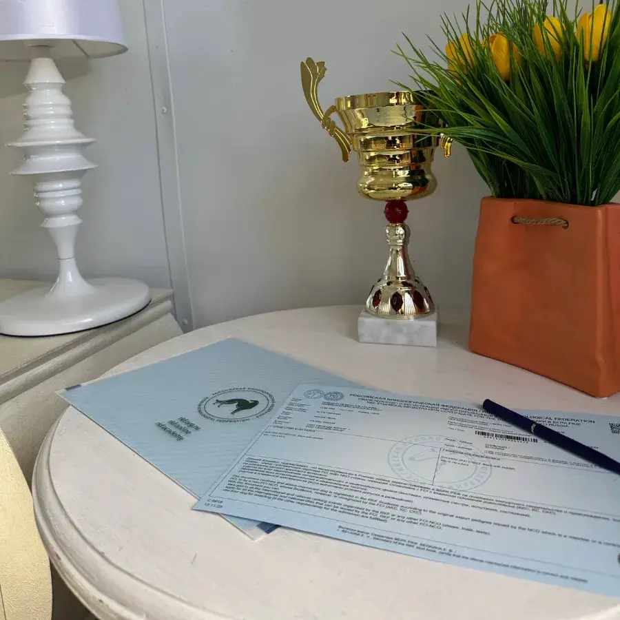 Что такое родословная у собак: как получить, оформить и читать