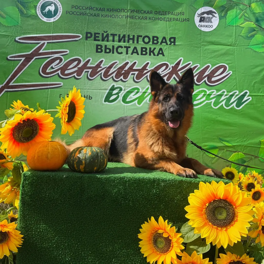 Осенний променад «Легенды Волги»