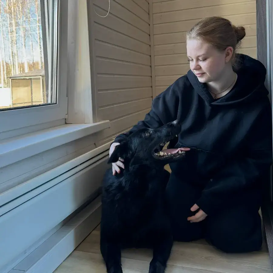 Как научить собаку команде место пошаговое обучение