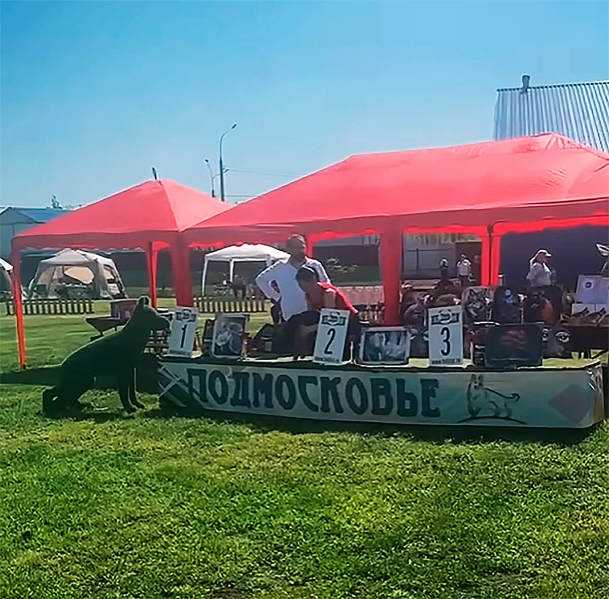 24 мая кинологический центр «Инфанта» стал эпицентром событий