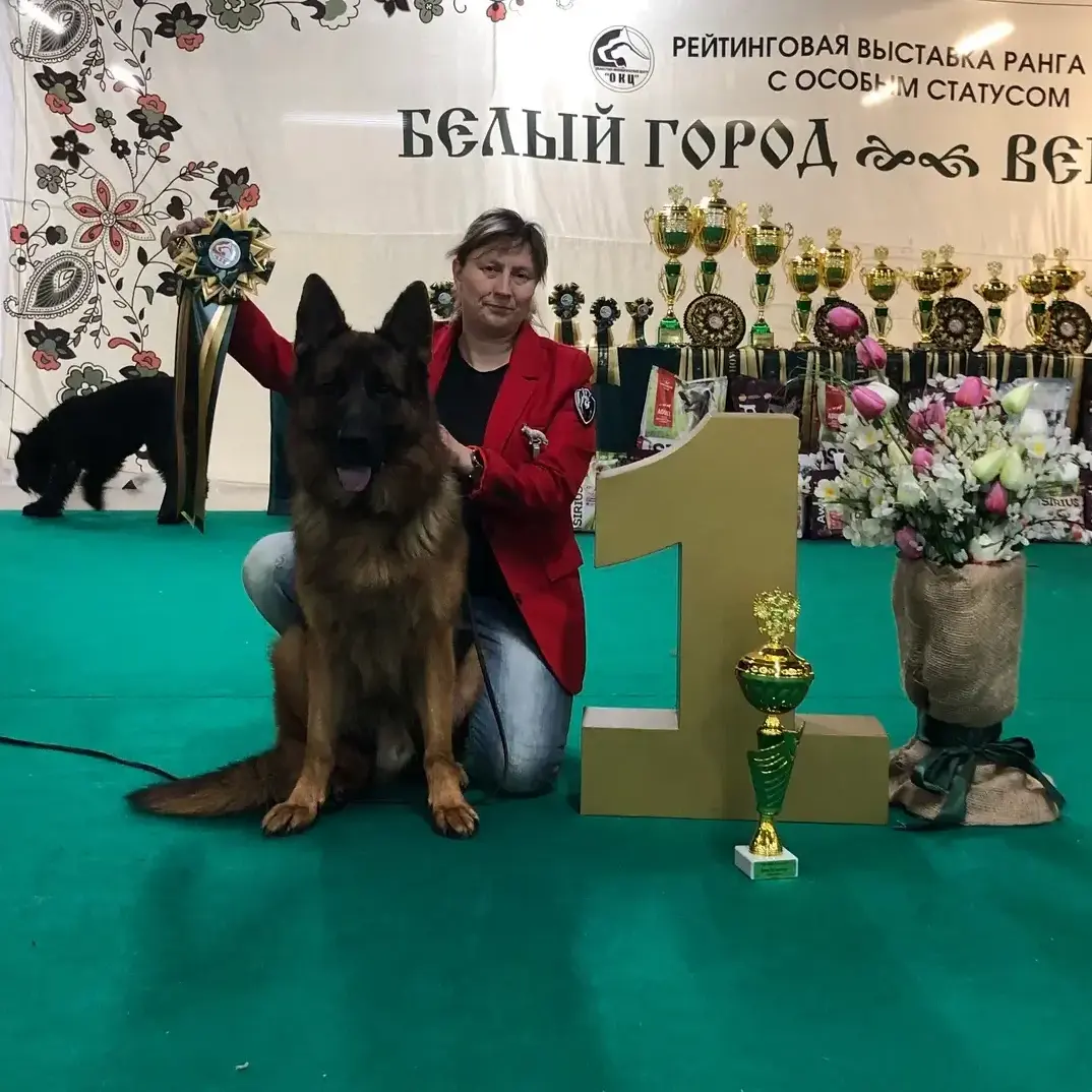 Итоги двухдневных выставок в Старом Осколе