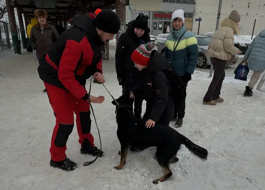 Немецкая овчарка и дети: как овчарка относится к детям в семье