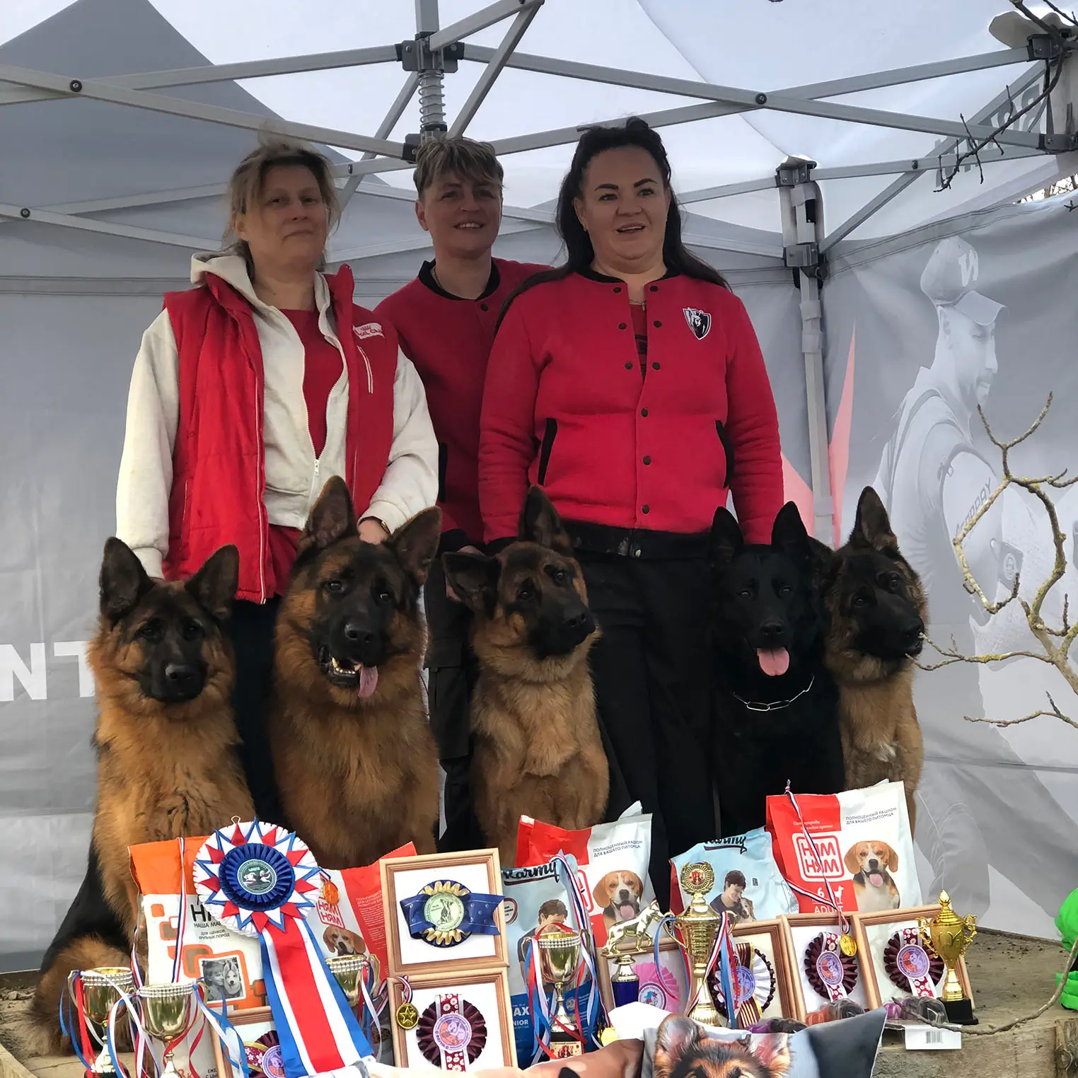 Выставочный сезон продолжается! 