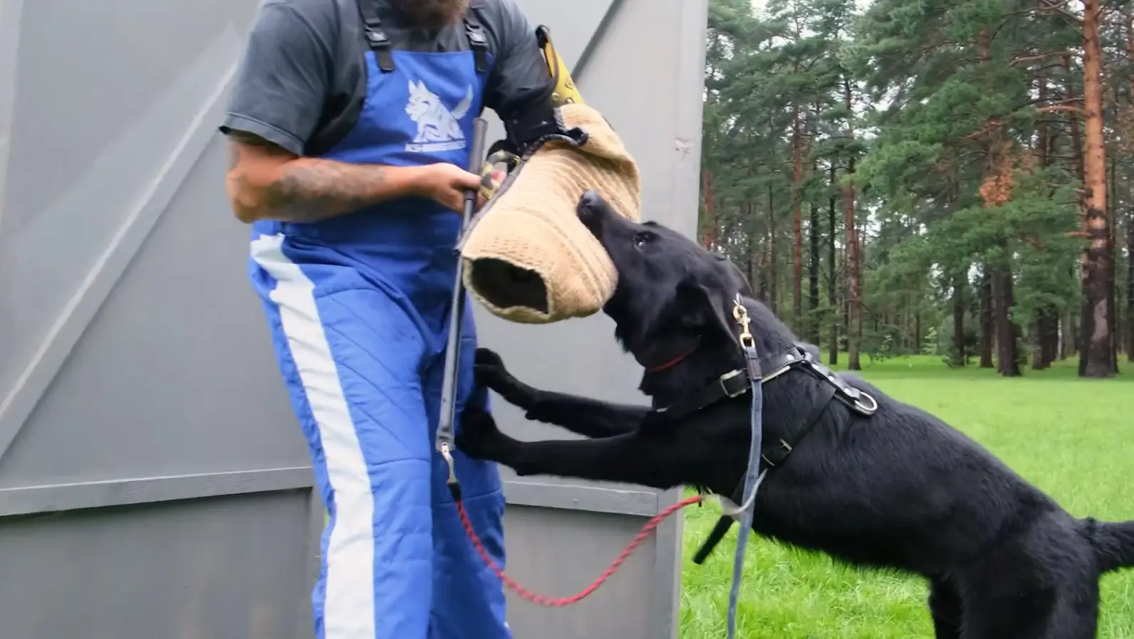 Тренинг в защитном разделе IGP №3