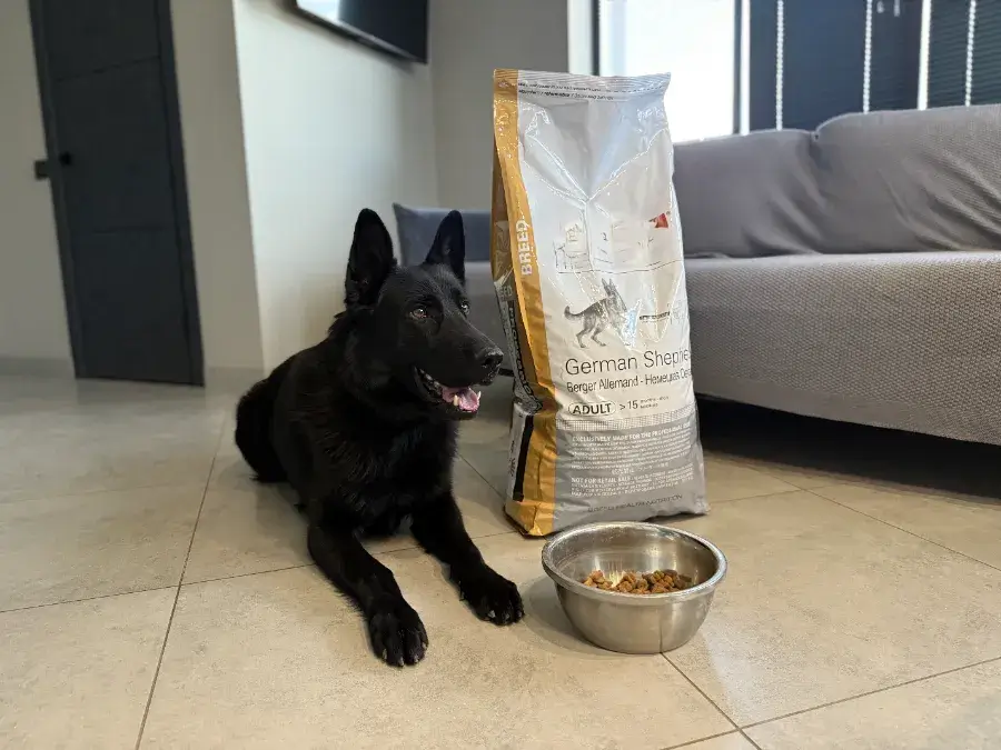 Состав корма для собак: как выбрать корм с хорошим составомv