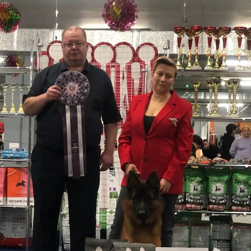 Последние выставки уходящего года!