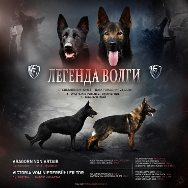 Рождение нового поколения!