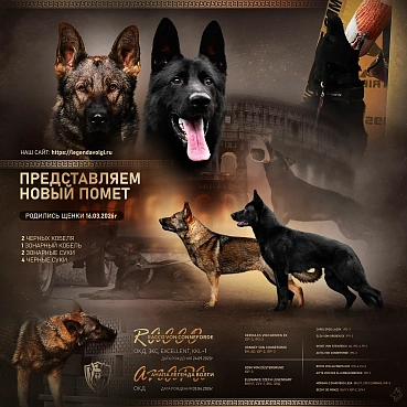 Новое пополнение в питомнике!