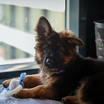 Фото отзыва