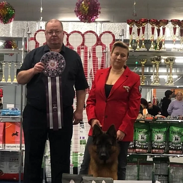 Последние выставки уходящего года!