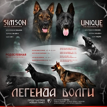 В питомнике — новое пополнение